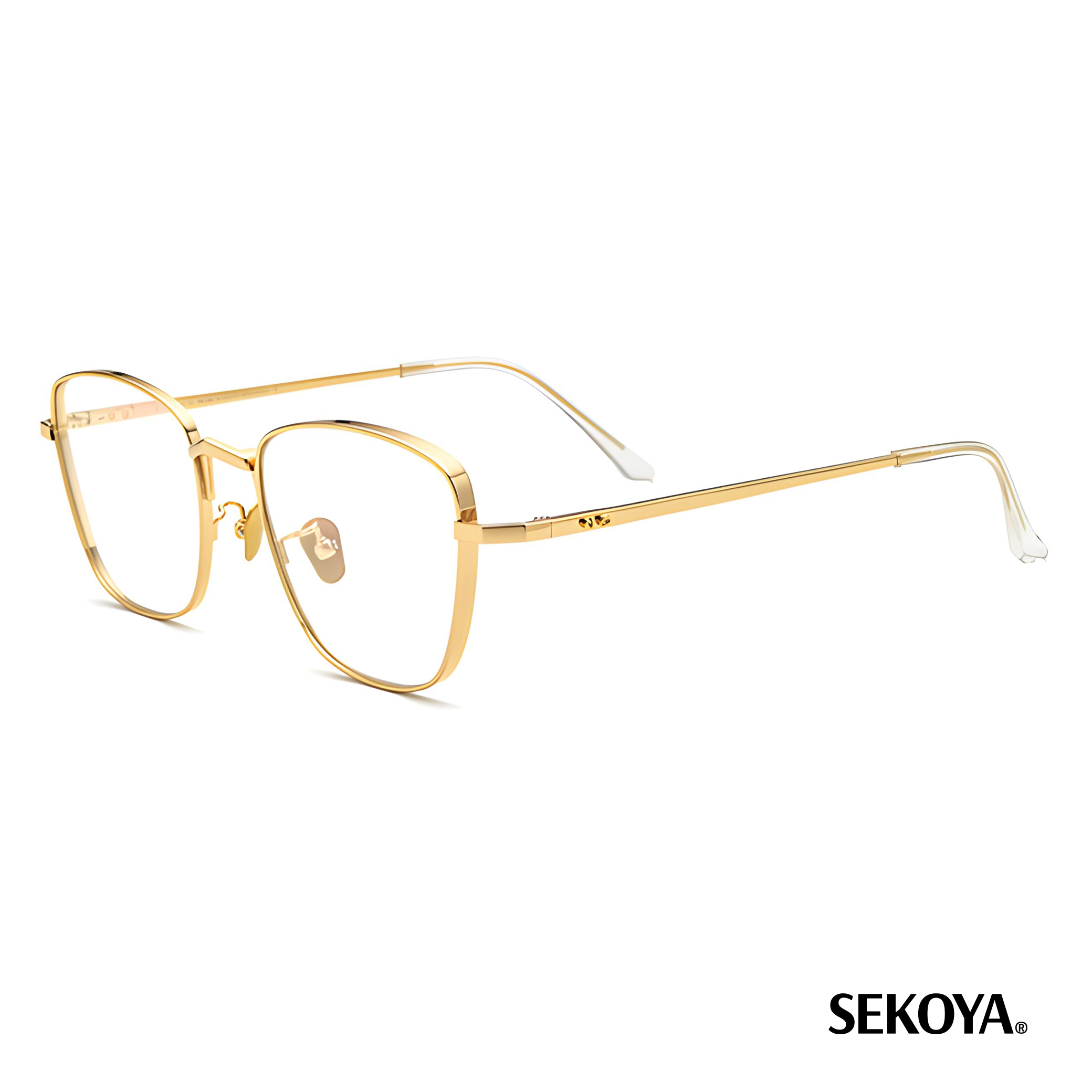 فریم عینک طبی زنانه تیتیانیوم Borregls